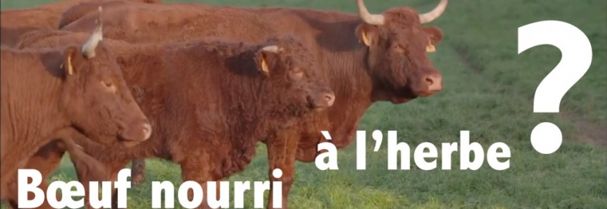 Où trouver de la viande de boeuf nourri à l'herbe ?