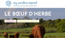 Le Boeuf d'herbe sélectionné par la Fondation Nicolas Hulot